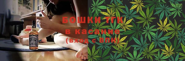 молекула духа Алзамай