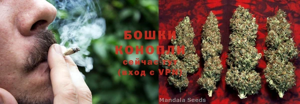 молекула духа Алзамай